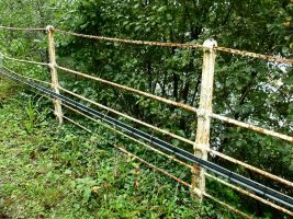 Railings at Stowford