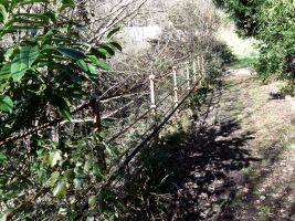 Railings at Stowford