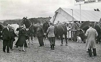 Queen Elizabeth II at the Royal Show 1952